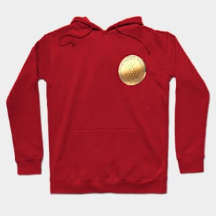 CARDANO COIN Hoodie